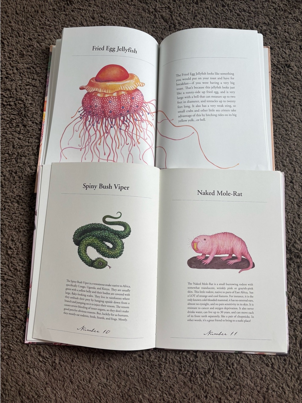 Encyclopedia of Strangely Named Animals Strange Looking Animals Volume 1 + 2 - Picture 3 of 3